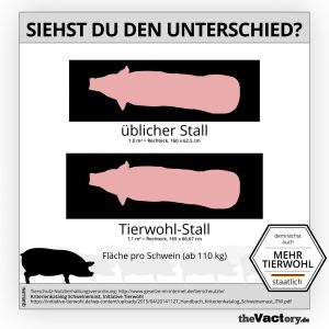 Tierwohlsiegel – Stallfläche für Mastschweine