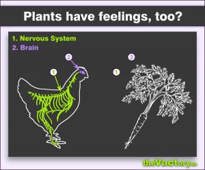 But Plants Have Feelings, too!
