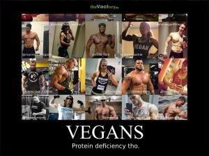 But where do you get your protein?